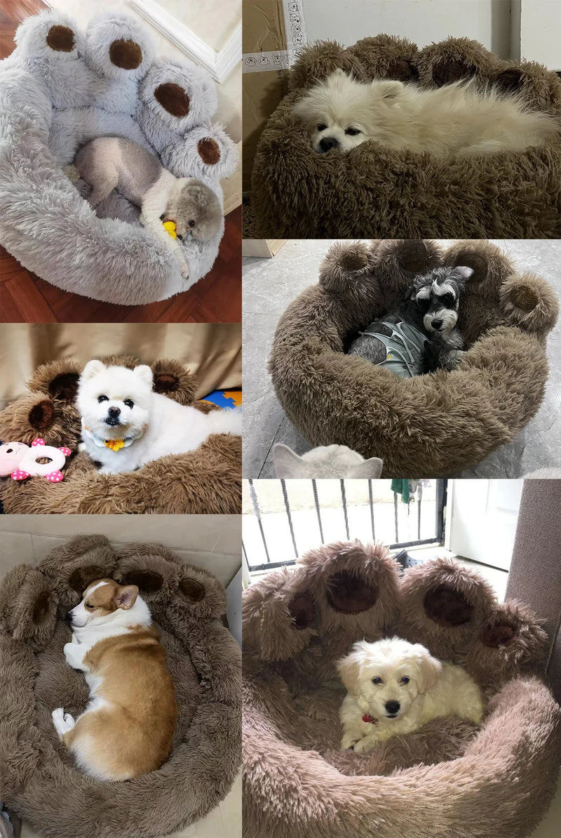 Cute Bear Paw Shaped Dog & Cat Pet Bed – Cozy, Comfortable Cushion for Small, Medium, & Large Pets